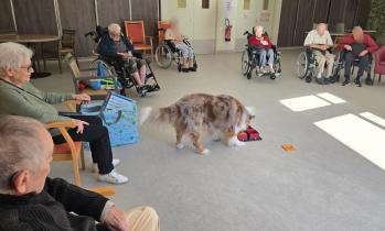 floutage photo paysage